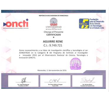 Researcher and Innovator Stimulus Program — Accredited, Category B